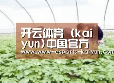 种植基地三
