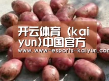 产品展示标题5