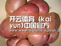 产品展示标题1
