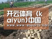 种植基地八