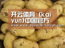 产品展示标题6
