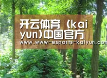 种植基地九