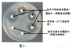 媒体曝光海底捞“三宗罪”副总回应网友质疑_ LOL直播(图1) 开云电竞