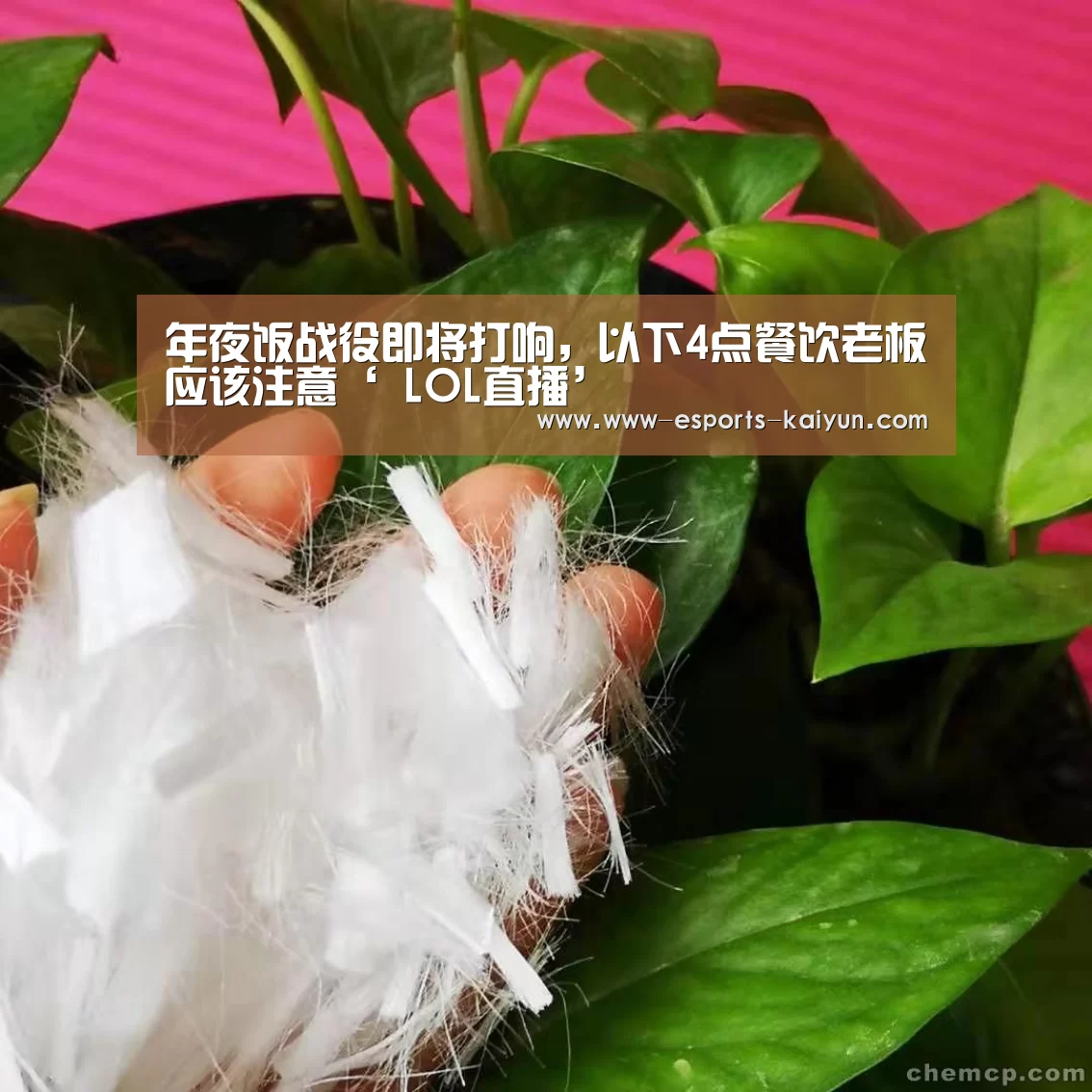 年夜饭战役即将打响,以下4点餐饮老板应该注意‘ LOL直播’(图1) 开云电竞